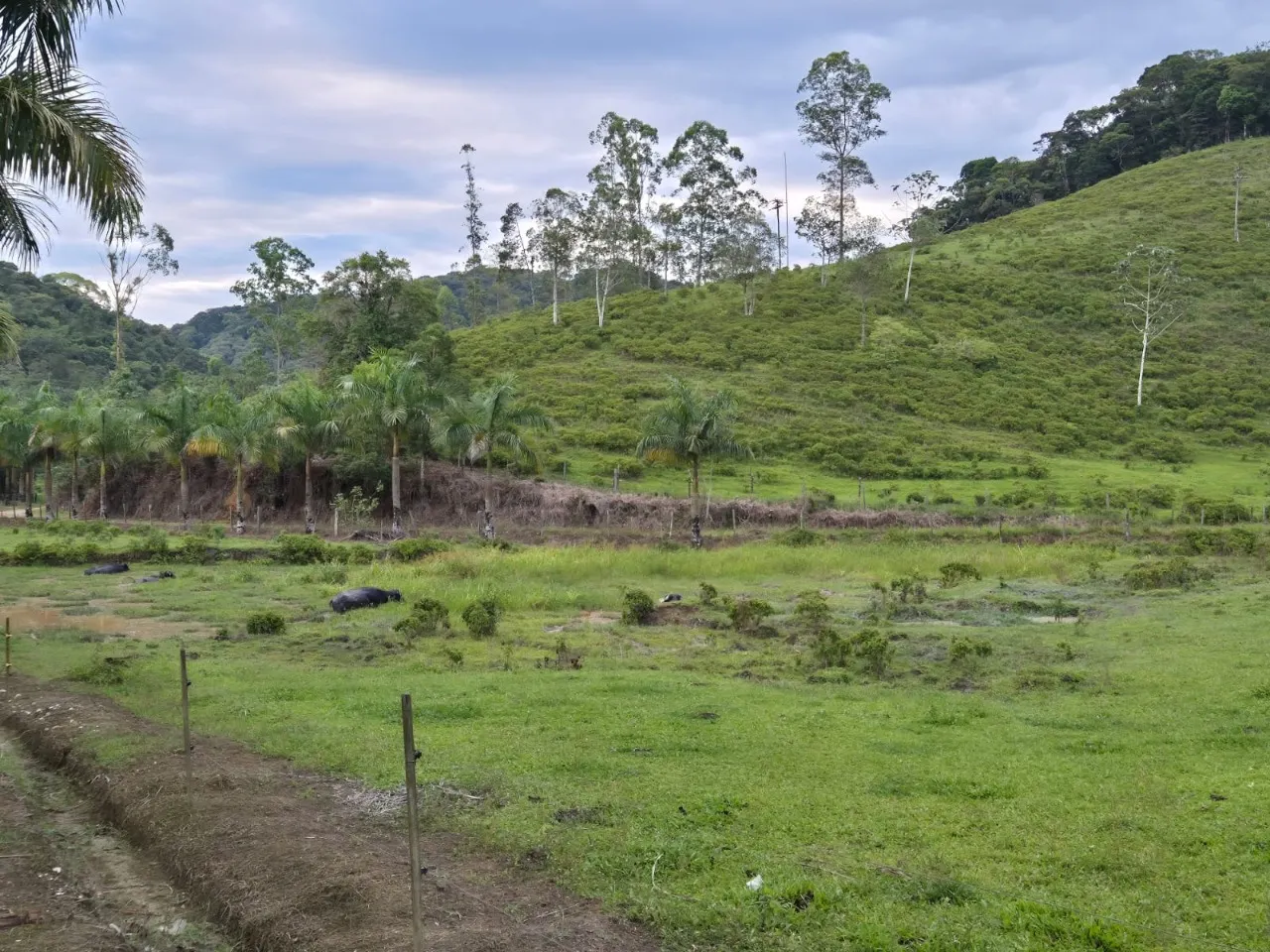 Fazenda à venda de 421 ha em Registro, SP, Brasil