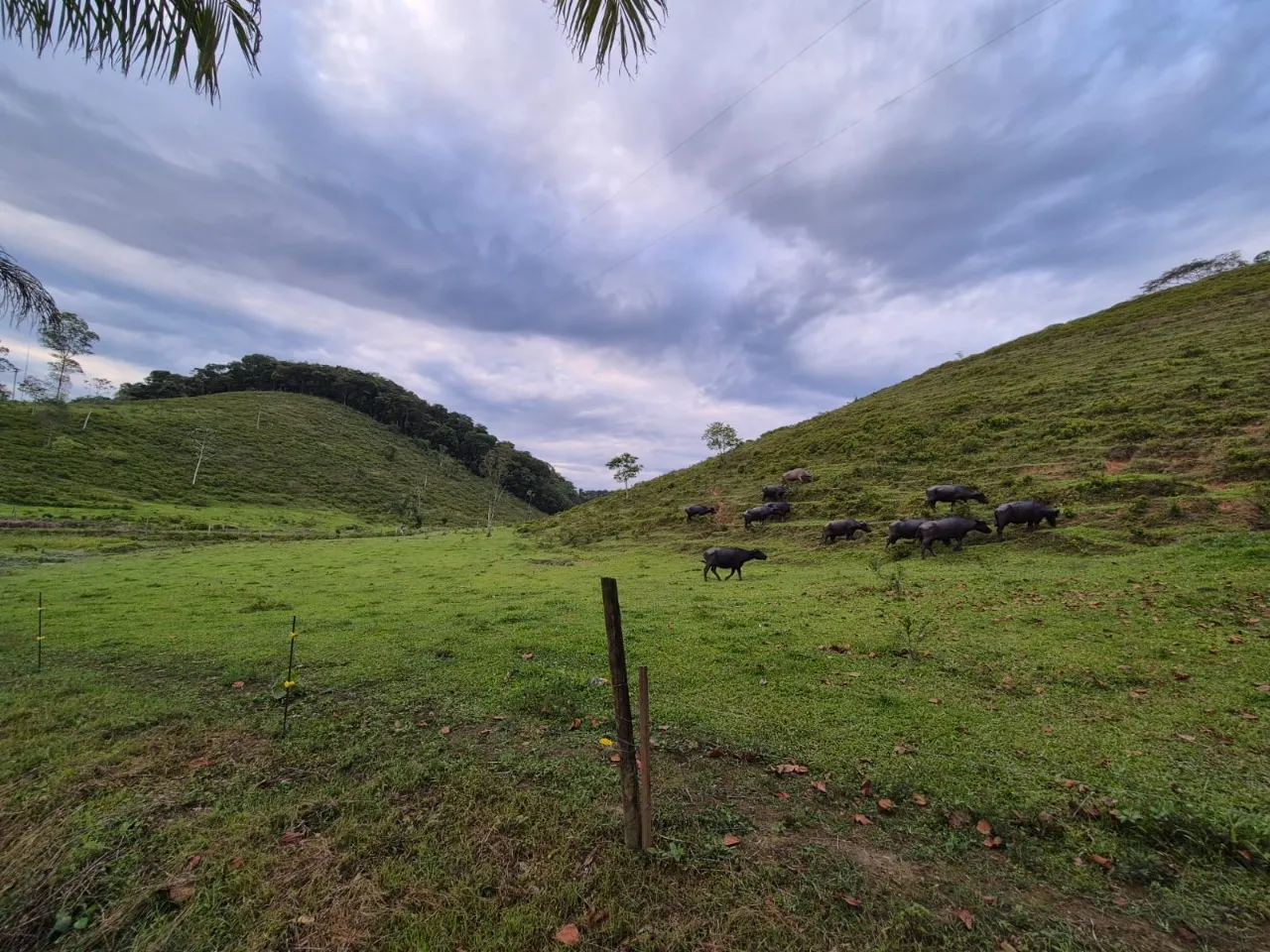 Fazenda à venda de 421 ha em Registro, SP, Brasil