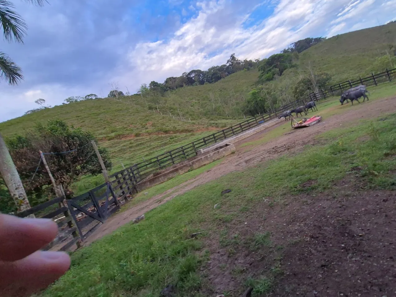 Fazenda à venda de 421 ha em Registro, SP, Brasil