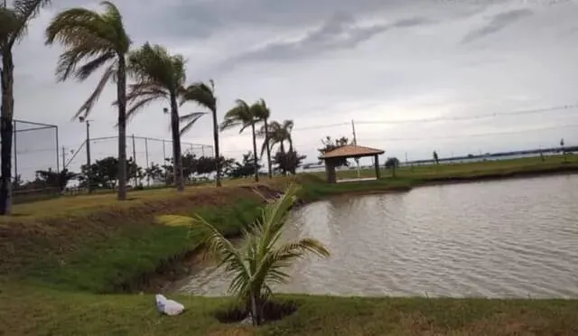 Fazenda à venda e para Arrendar de 315 ha em Panorama, SP, Brasil