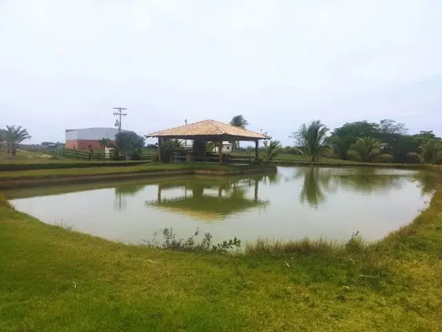 Fazenda à venda e para Arrendar de 315 ha em Panorama, SP, Brasil