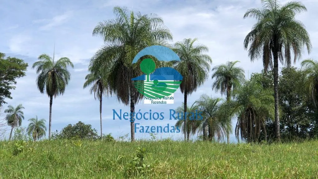 Fazenda à venda de 396 ha em Campinorte, GO, Brasil