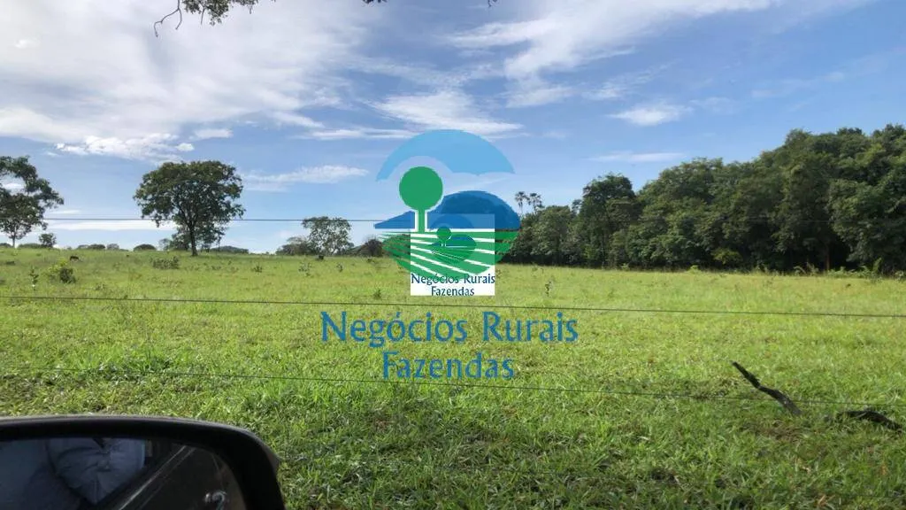 Fazenda à venda de 396 ha em Campinorte, GO, Brasil