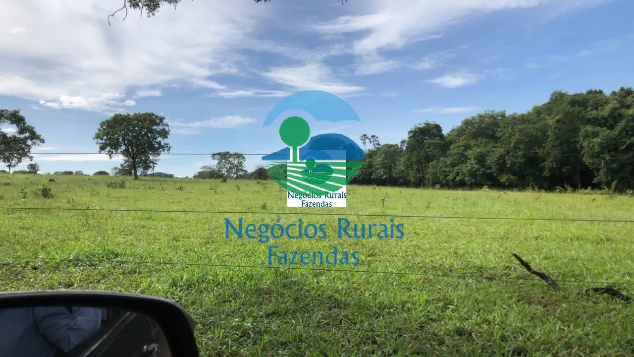 Fazenda à venda de 396 ha em Campinorte, GO, Brasil
