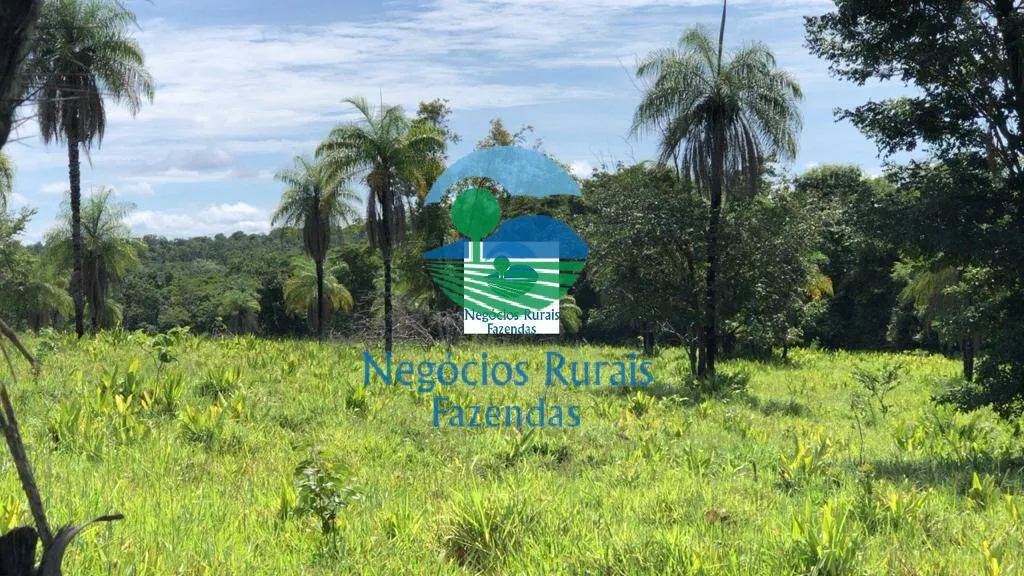 Fazenda à venda de 396 ha em Campinorte, GO, Brasil