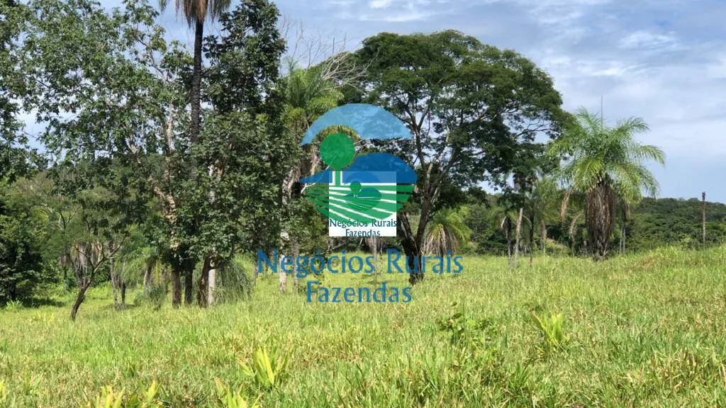 Fazenda à venda de 396 ha em Campinorte, GO, Brasil