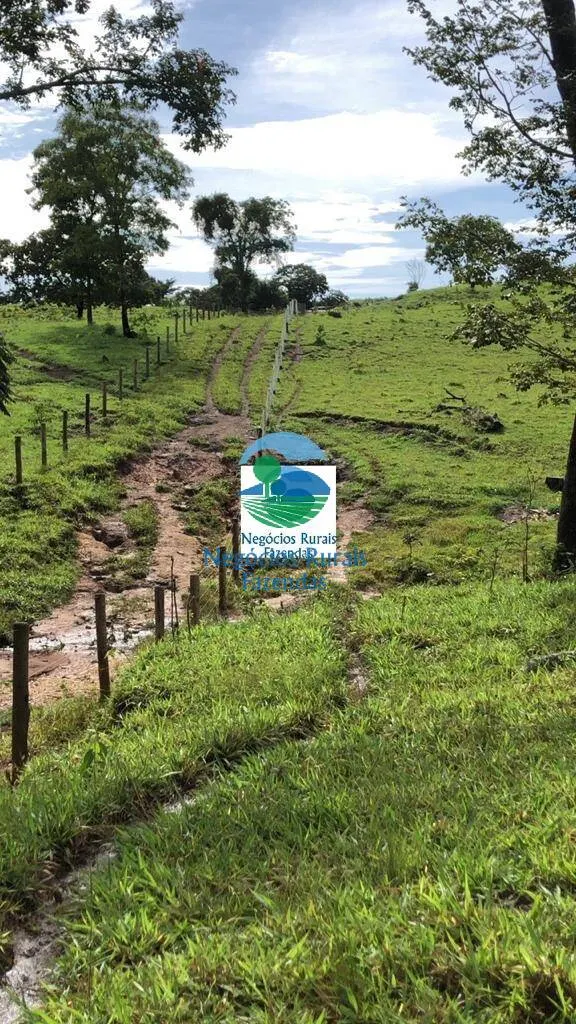 Fazenda à venda de 396 ha em Campinorte, GO, Brasil
