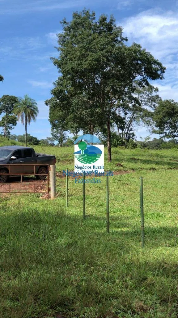 Fazenda à venda de 396 ha em Campinorte, GO, Brasil
