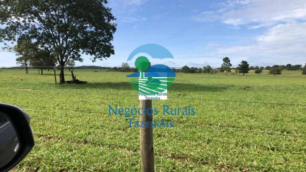 Fazenda à venda de 396 ha em Campinorte, GO, Brasil