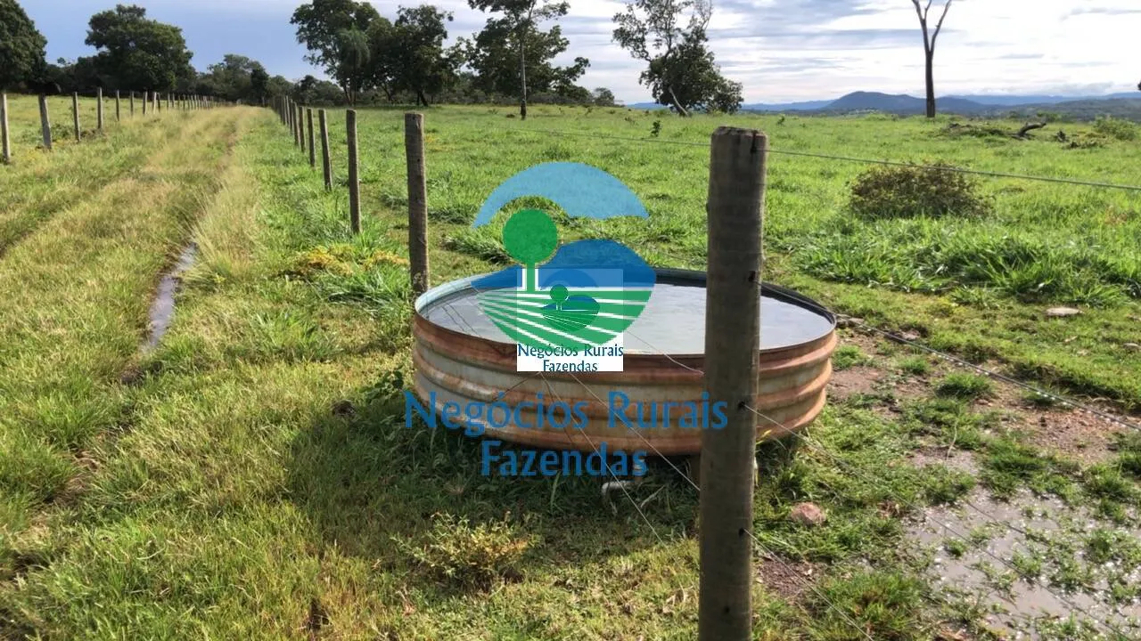 Fazenda à venda de 396 ha em Campinorte, GO, Brasil