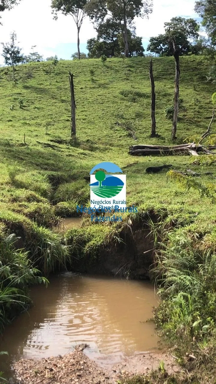 Fazenda à venda de 396 ha em Campinorte, GO, Brasil