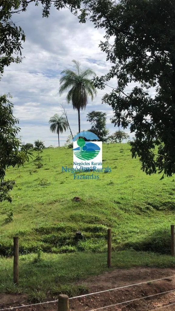 Fazenda à venda de 396 ha em Campinorte, GO, Brasil