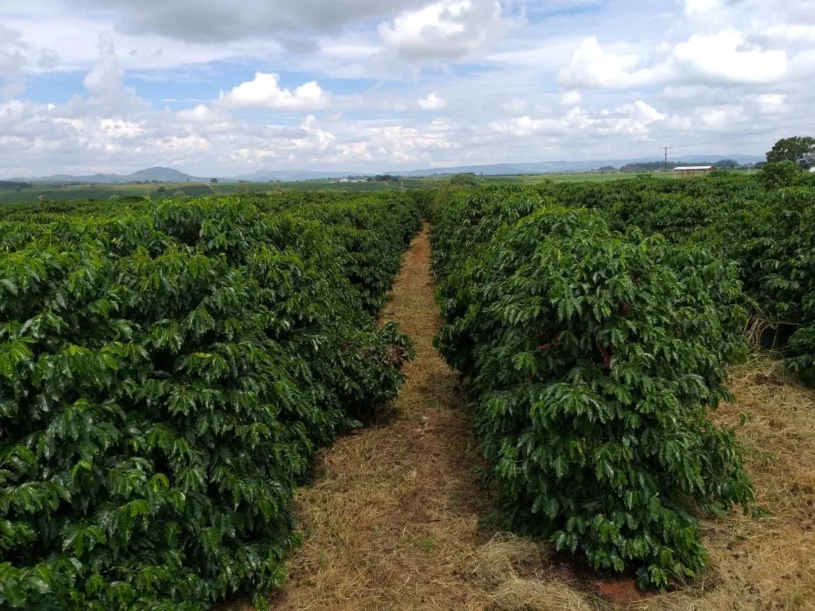 Farm for sale of 359 acres in Piumhi, MG, Brazil