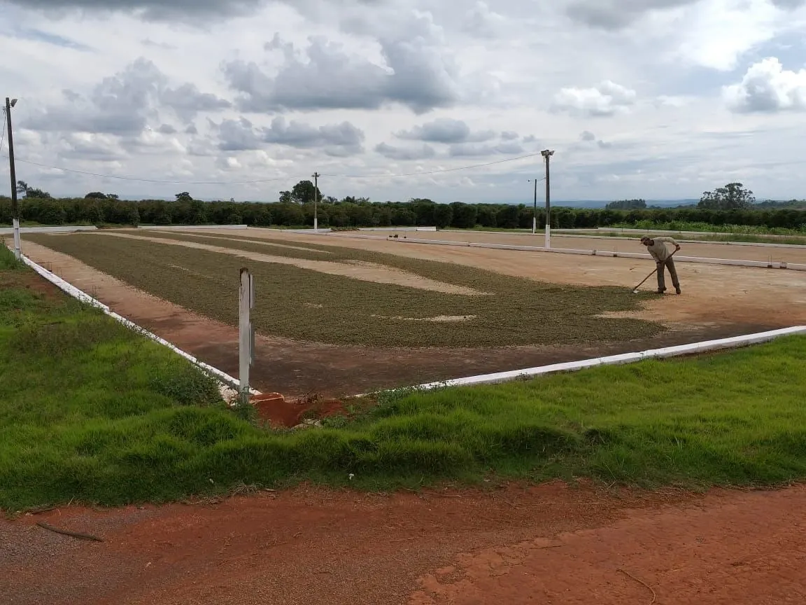 Farm for sale of 359 acres in Piumhi, MG, Brazil