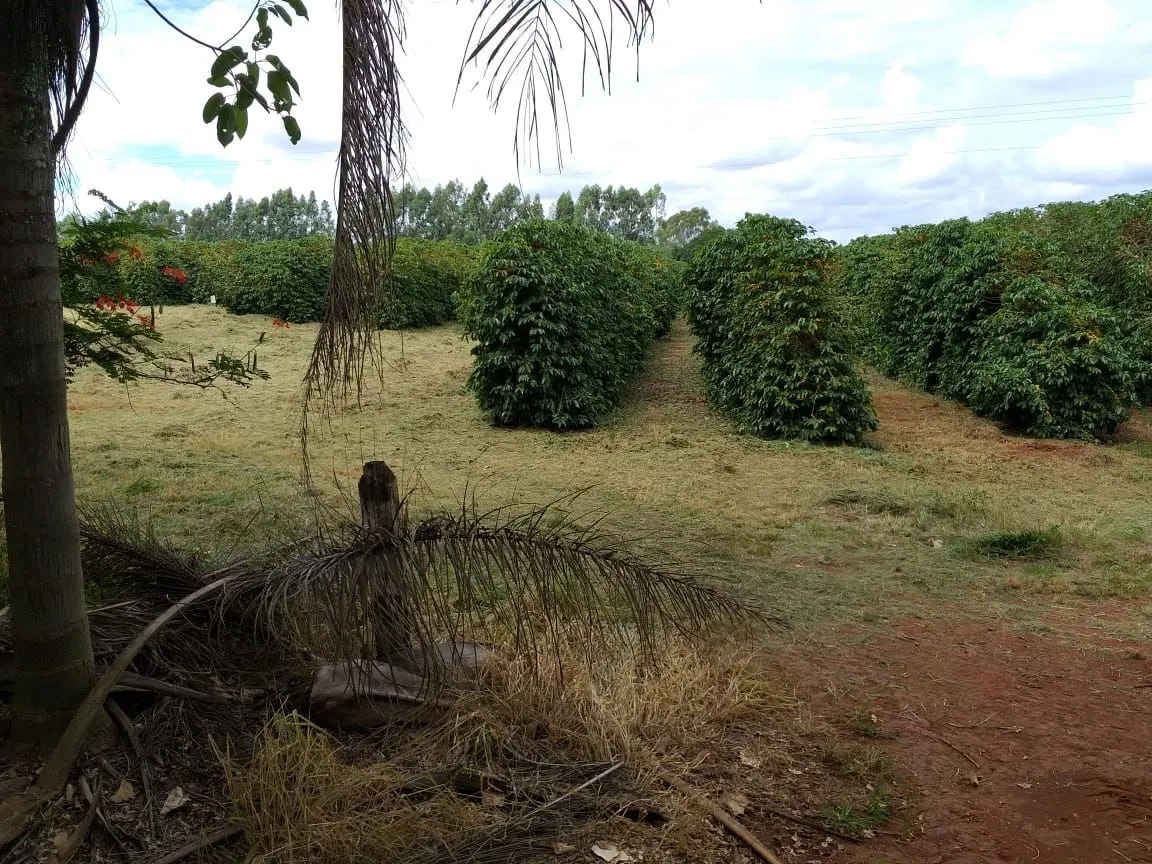 Farm for sale of 359 acres in Piumhi, MG, Brazil
