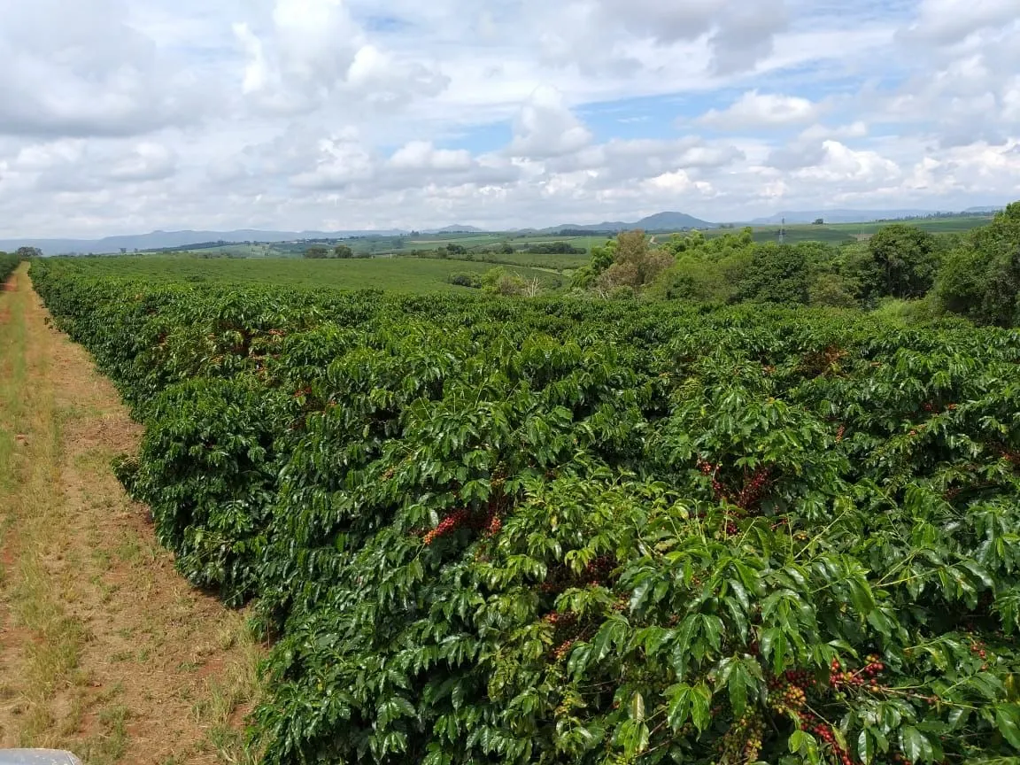Farm for sale of 359 acres in Piumhi, MG, Brazil