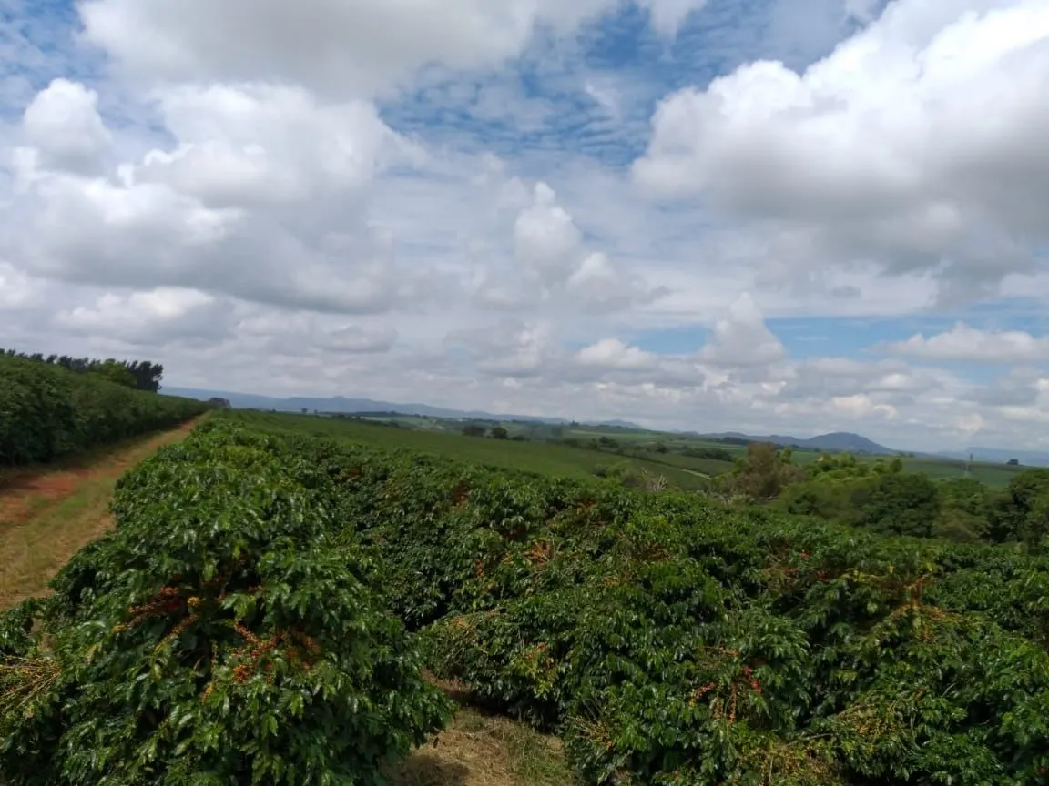 Farm for sale of 359 acres in Piumhi, MG, Brazil