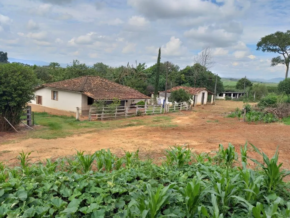 Fazenda à venda de 145 ha em Piumhi, MG, Brasil