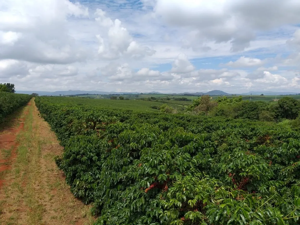 Farm for sale of 359 acres in Piumhi, MG, Brazil