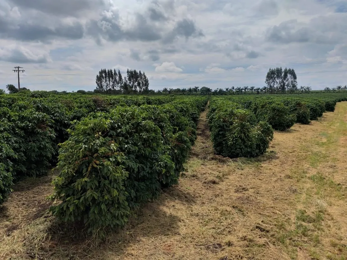 Farm for sale of 359 acres in Piumhi, MG, Brazil