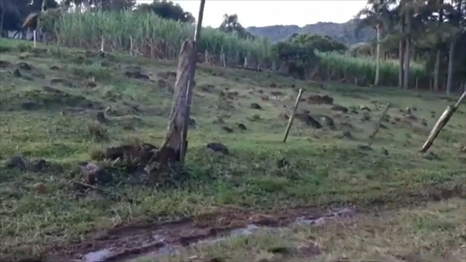 Chácara à venda de 2.000 m² em Parobé, RS, Brasil