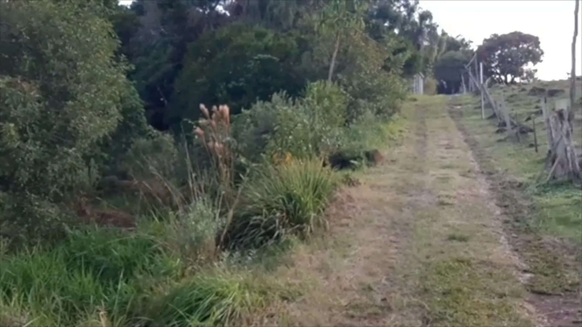 Chácara à venda de 2.000 m² em Parobé, RS, Brasil