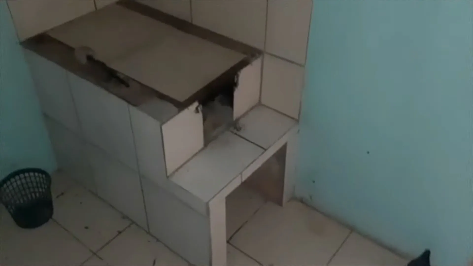 Chácara à venda de 2.000 m² em Parobé, RS, Brasil