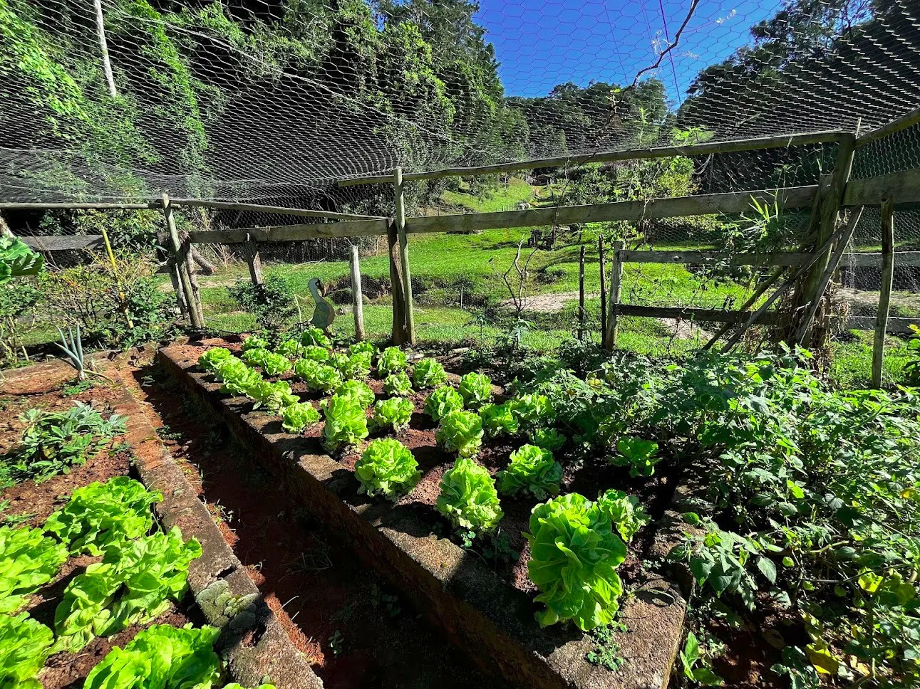 Sítio à venda de 16 ha em São Luiz do Paraitinga, SP, Brasil