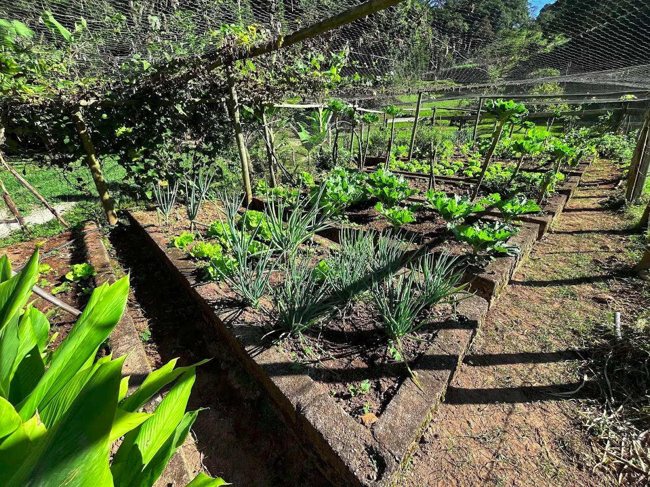 Sítio à venda de 16 ha em São Luiz do Paraitinga, SP, Brasil