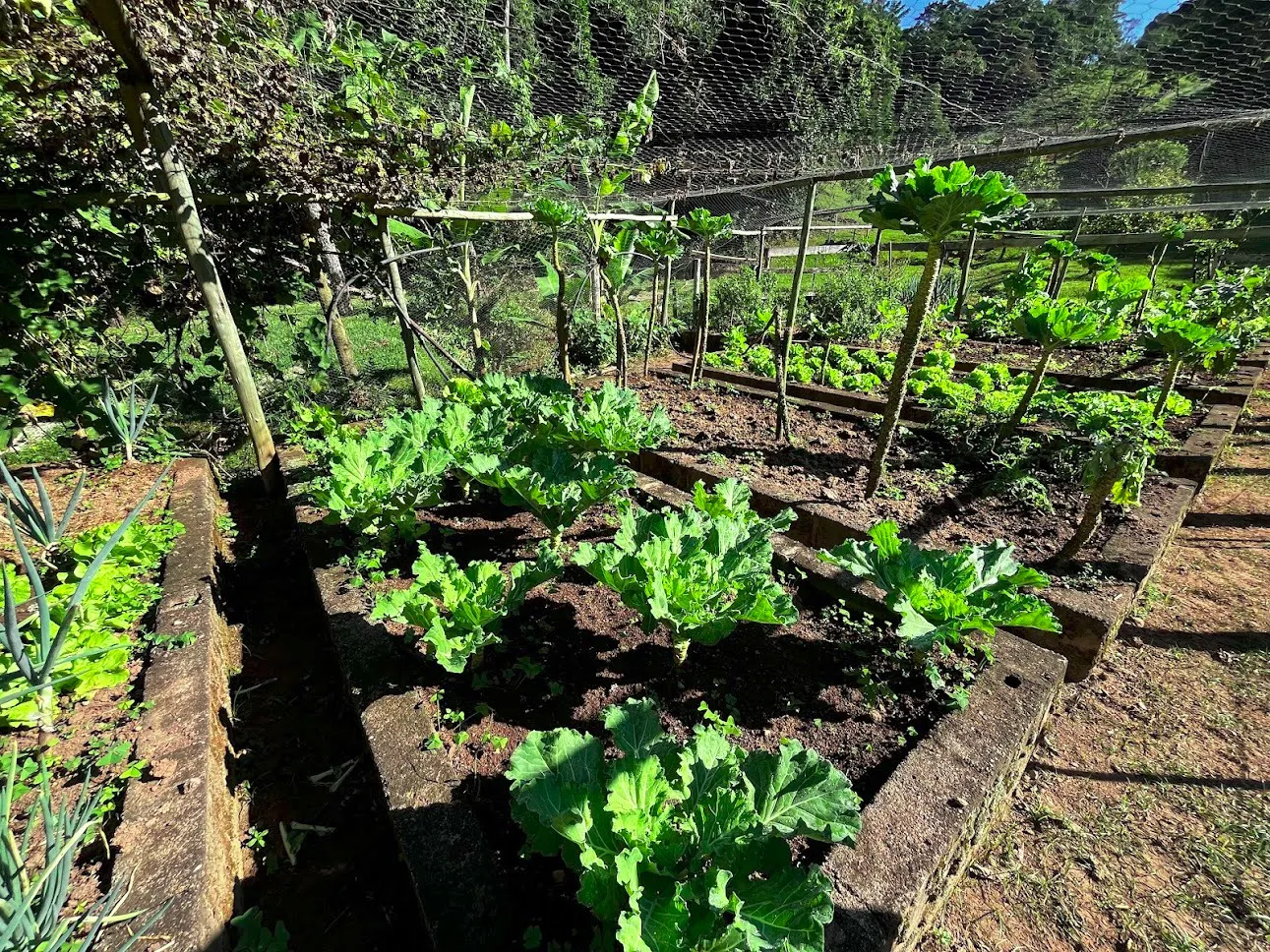 Sítio à venda de 16 ha em São Luiz do Paraitinga, SP, Brasil