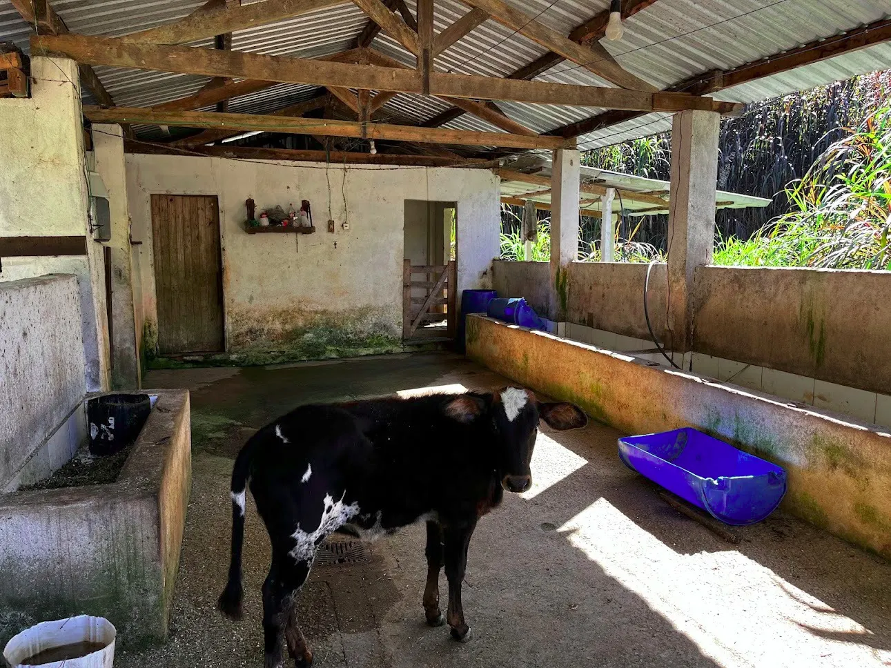 Sítio à venda de 16 ha em São Luiz do Paraitinga, SP, Brasil