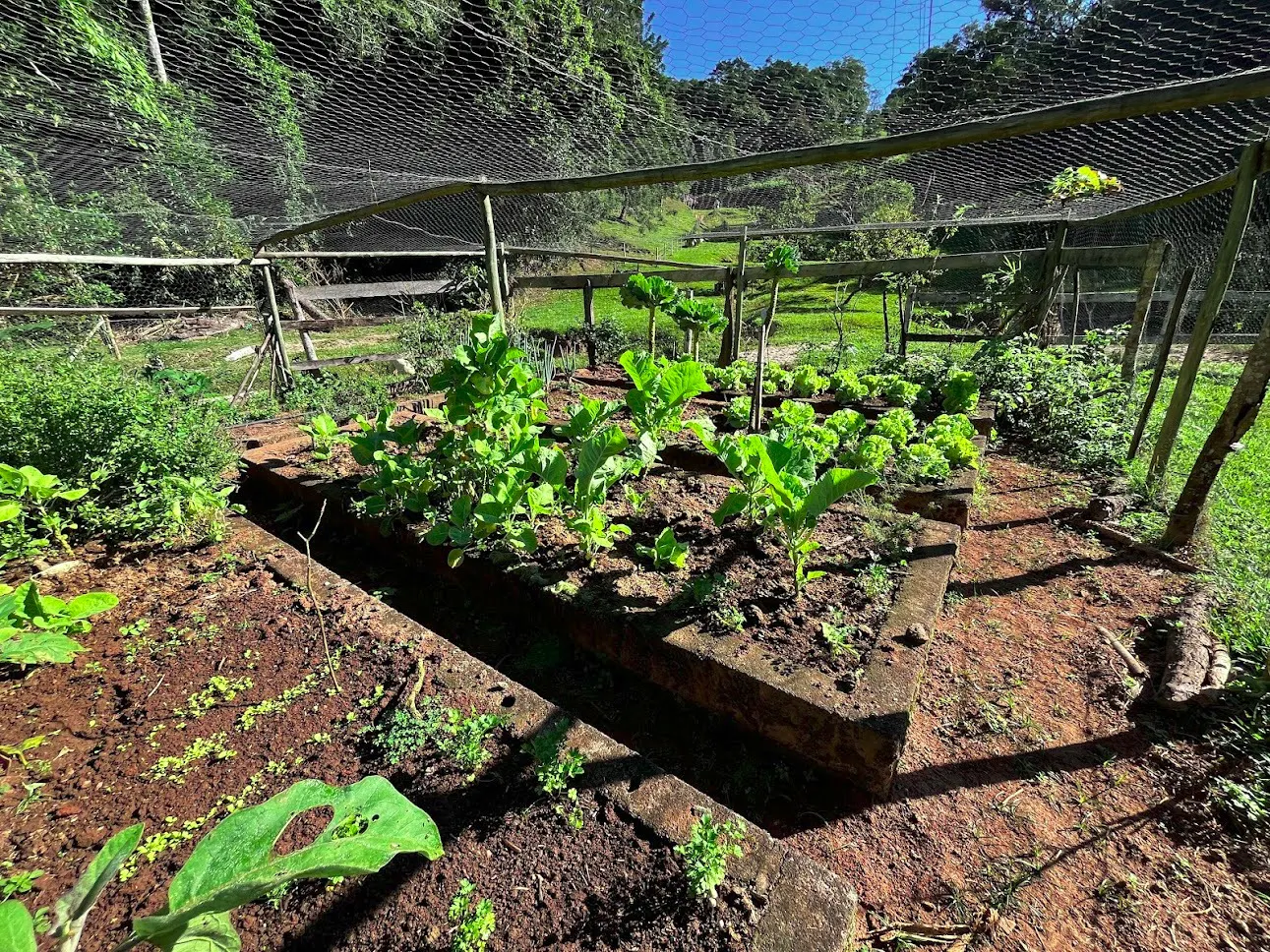 Sítio à venda de 16 ha em São Luiz do Paraitinga, SP, Brasil