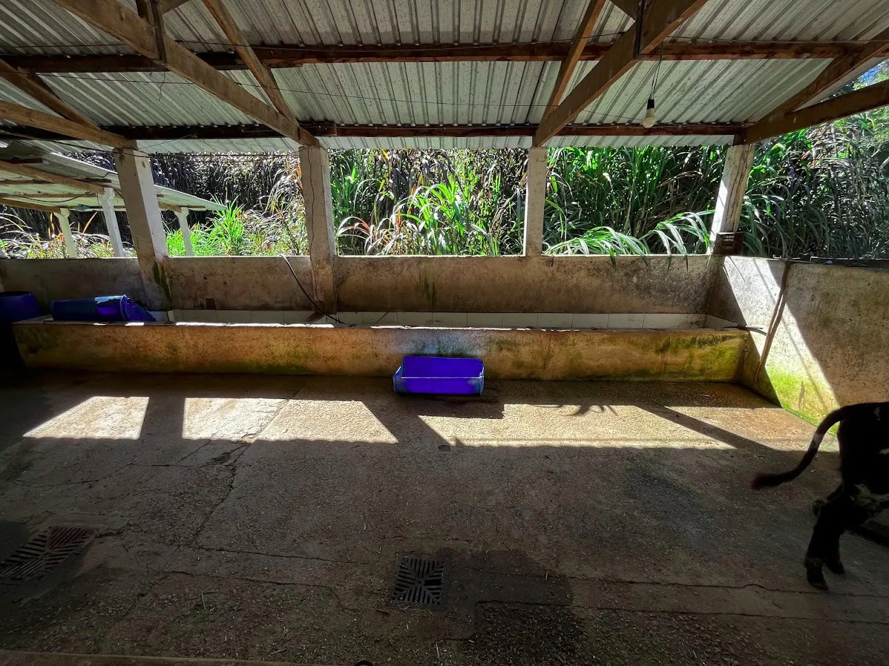 Sítio à venda de 16 ha em São Luiz do Paraitinga, SP, Brasil