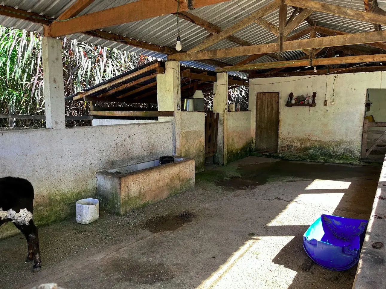 Sítio à venda de 16 ha em São Luiz do Paraitinga, SP, Brasil
