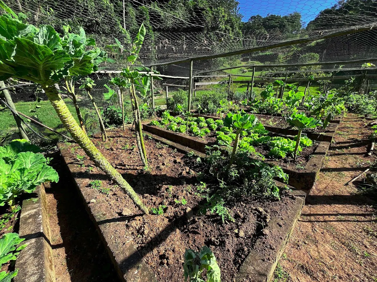 Sítio à venda de 16 ha em São Luiz do Paraitinga, SP, Brasil