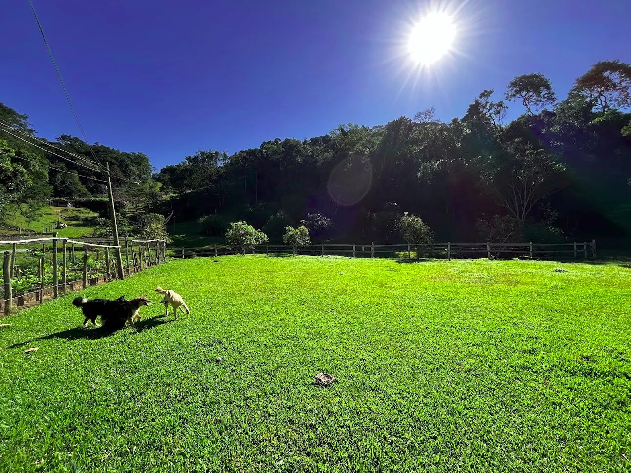 Sítio à venda de 16 ha em São Luiz do Paraitinga, SP, Brasil