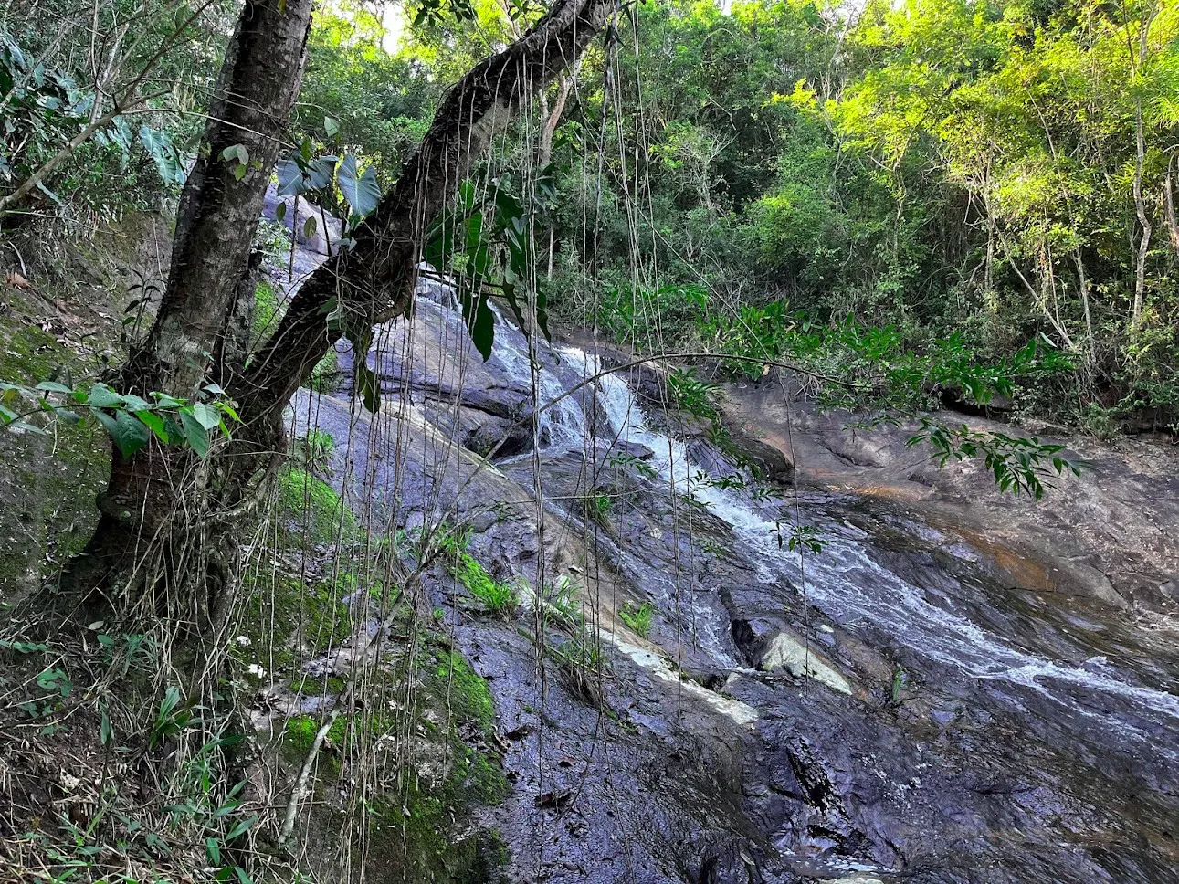 Sítio à venda de 16 ha em São Luiz do Paraitinga, SP, Brasil