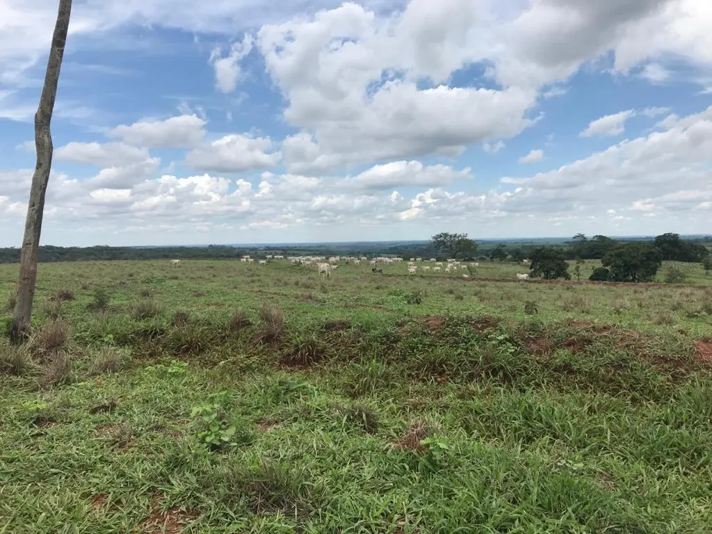 Fazenda à venda de 81 ha em Jales, SP, Brasil
