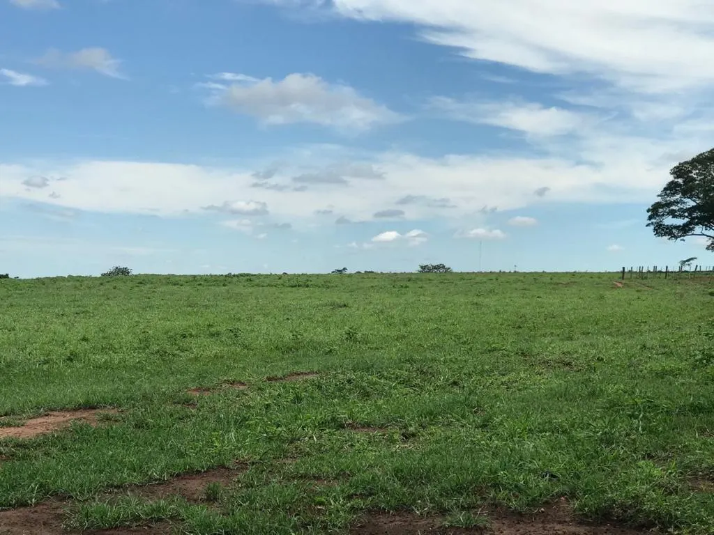 Fazenda à venda de 81 ha em Jales, SP, Brasil