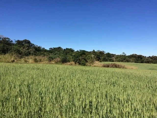 Small farm for sale of 233 acres in Itapetininga, SP, Brazil