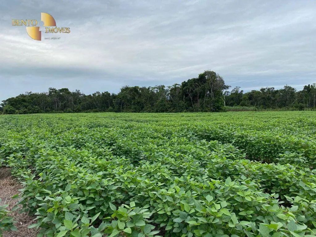 Fazenda à venda de 1.600 ha em Rosário Oeste, MT, Brasil