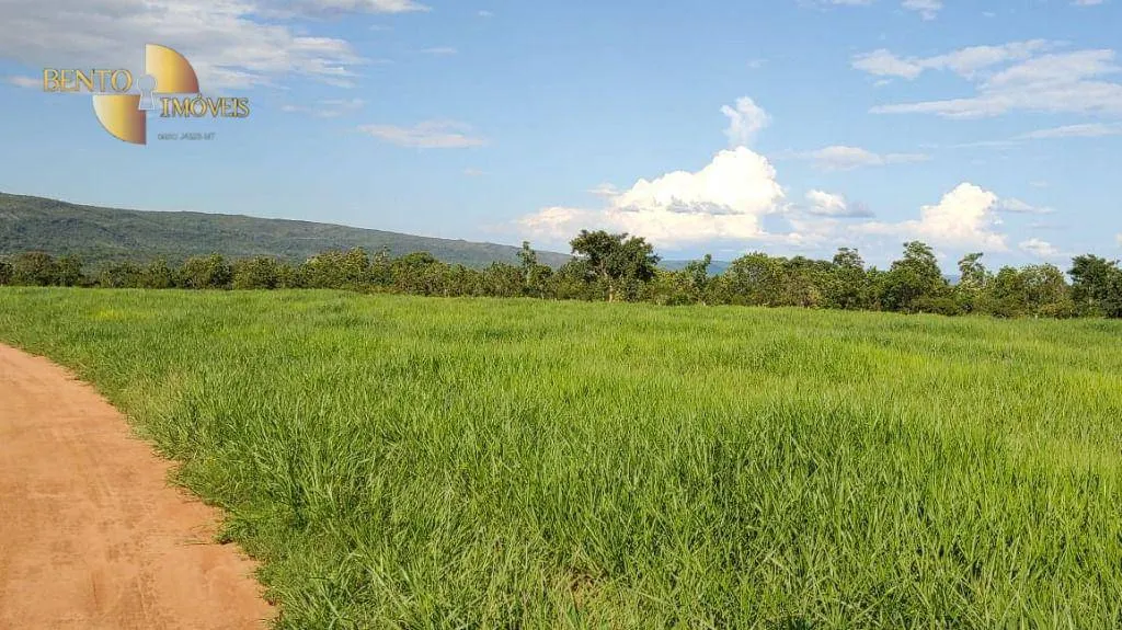 Fazenda à venda de 1.600 ha em Rosário Oeste, MT, Brasil