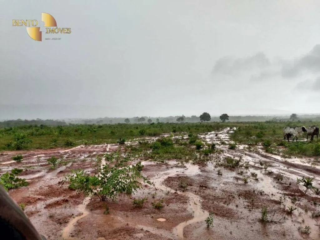 Fazenda à venda de 1.600 ha em Rosário Oeste, MT, Brasil
