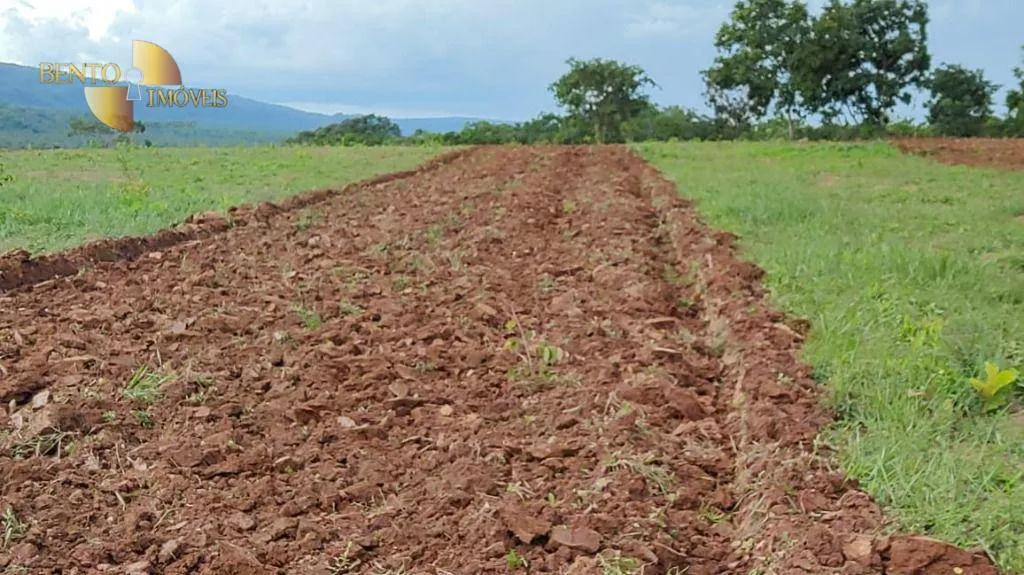 Fazenda à venda de 1.600 ha em Rosário Oeste, MT, Brasil