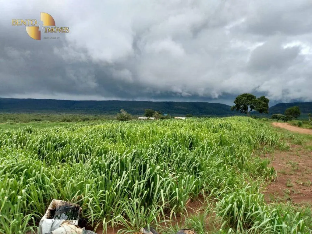 Fazenda à venda de 1.600 ha em Rosário Oeste, MT, Brasil