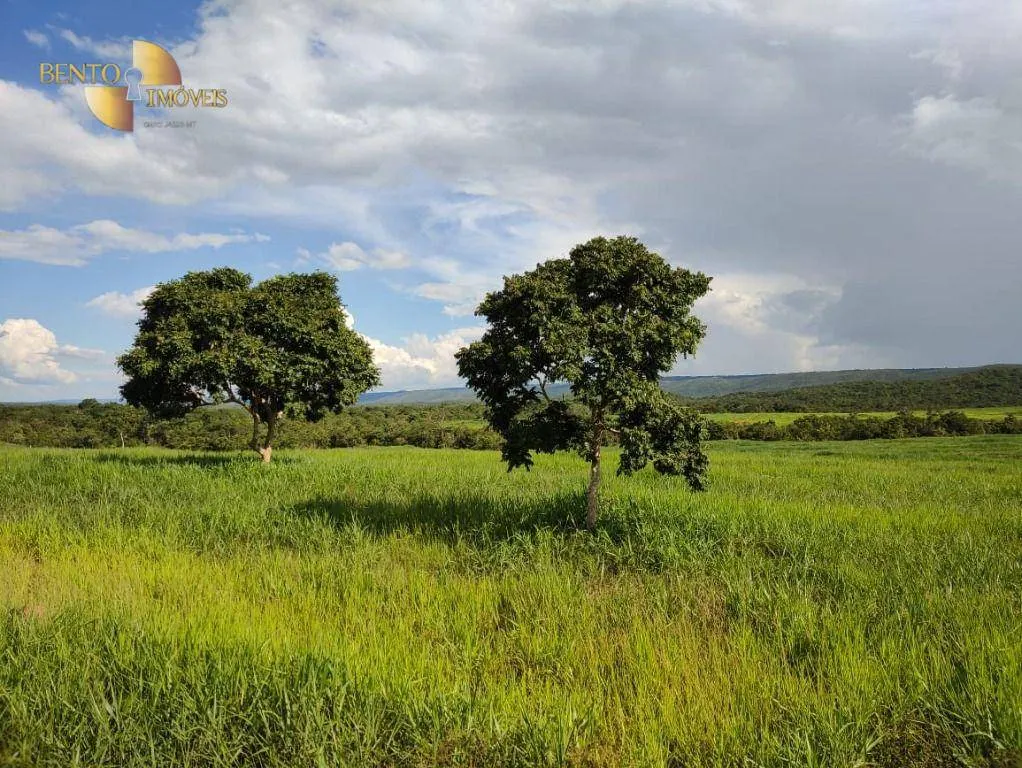 Fazenda à venda de 1.600 ha em Rosário Oeste, MT, Brasil