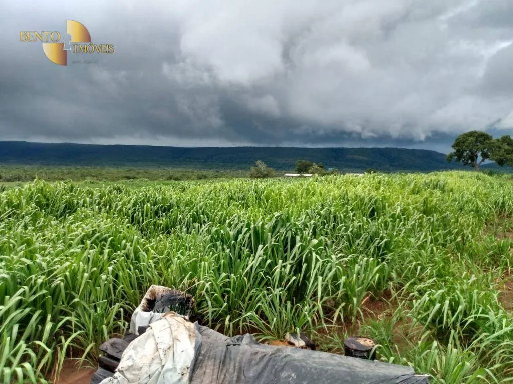Fazenda à venda de 1.600 ha em Rosário Oeste, MT, Brasil