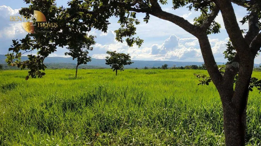 Fazenda à venda de 1.600 ha em Rosário Oeste, MT, Brasil