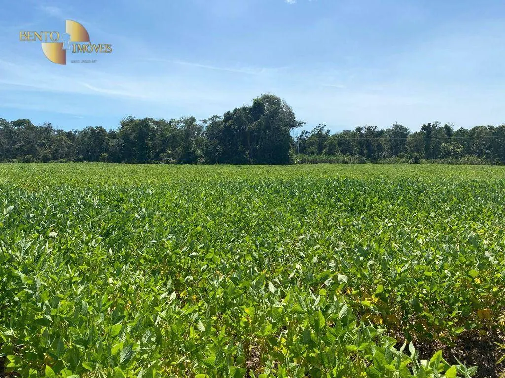 Fazenda à venda de 1.600 ha em Rosário Oeste, MT, Brasil