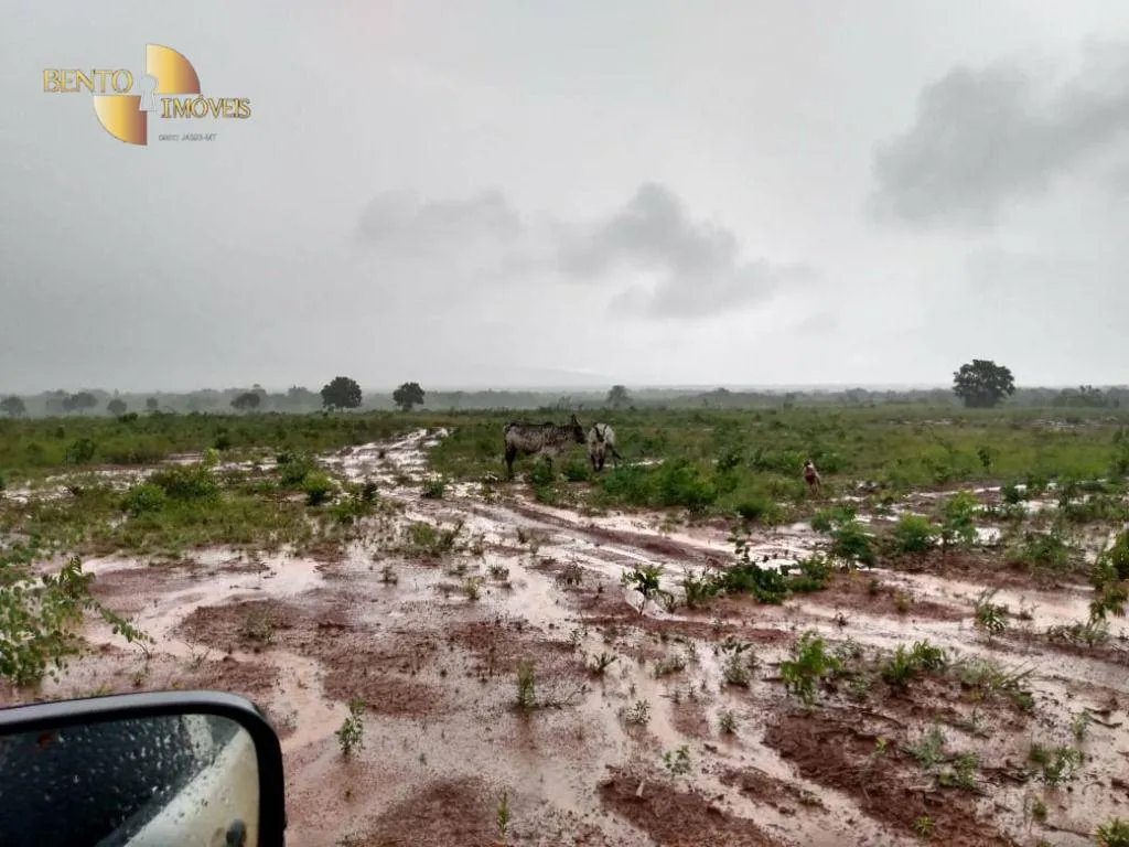 Fazenda à venda de 1.600 ha em Rosário Oeste, MT, Brasil